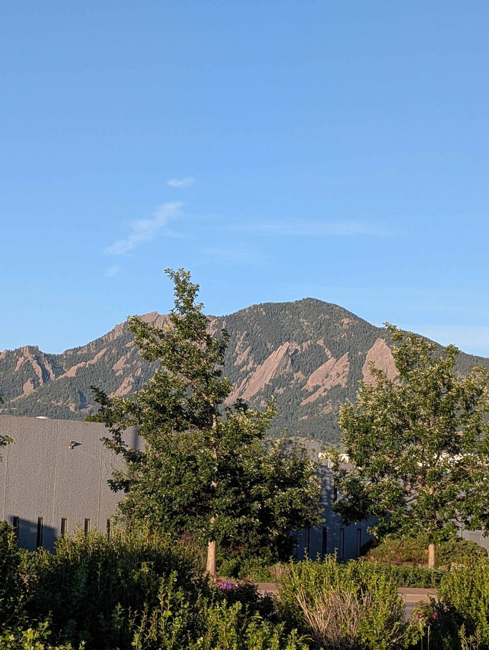 アメリカへ研修に行ってきました🌈